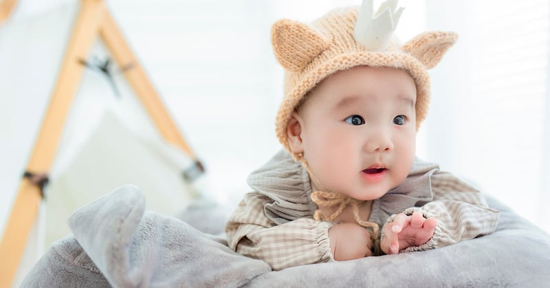 Kuscheltier für Babys 2026: Die besten Auswahlmöglichkeiten für Ihr Kind