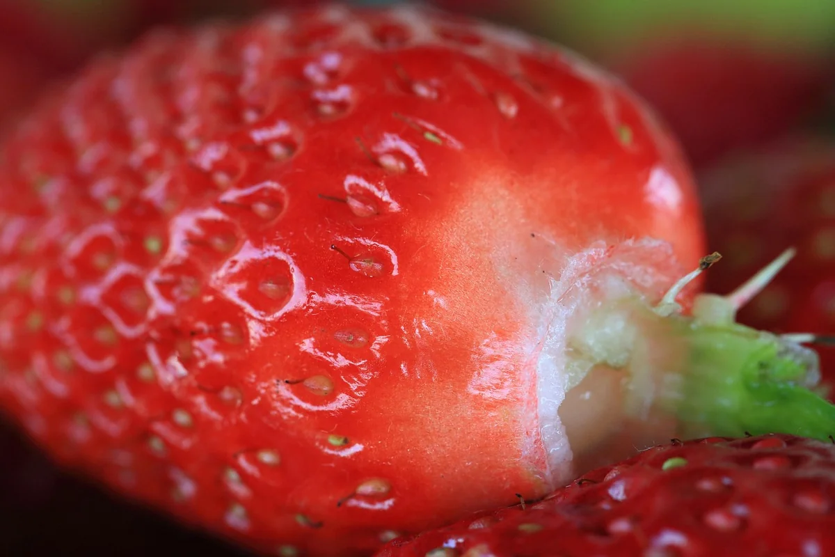 Die Macht der Kombination: Tagesrhythmus und Mahlzeiten