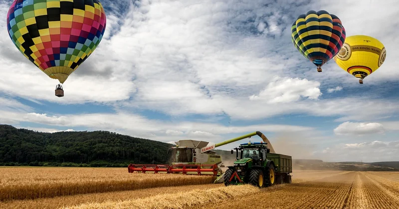 RDS-D oder RDS-C? Die Ernährung unterscheidet sich