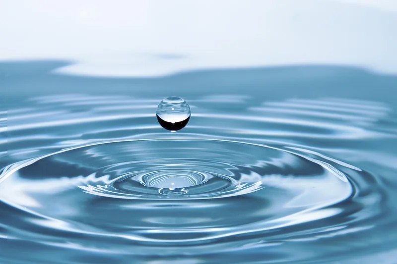 Wie dein Körper Wasser nutzt und verliert