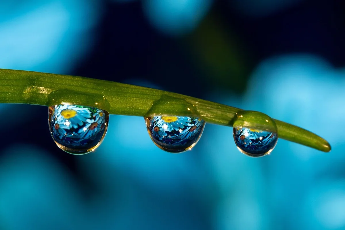 Bewegung: Der natürliche Druckregler